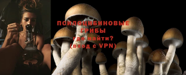 прущий лед Осинники
