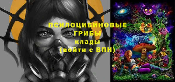прущий лед Осинники