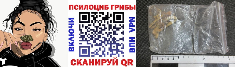Галлюциногенные грибы Magic Shrooms  где купить   Армянск 