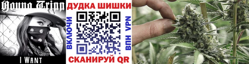 Конопля семена цена Армянск